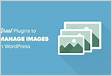 22 Grandes plugins do WordPress para gerenciar imagens atualizadas